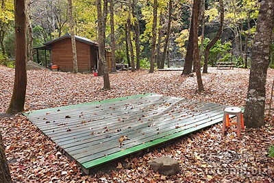 新竹尖石美樹營地 @定點露營